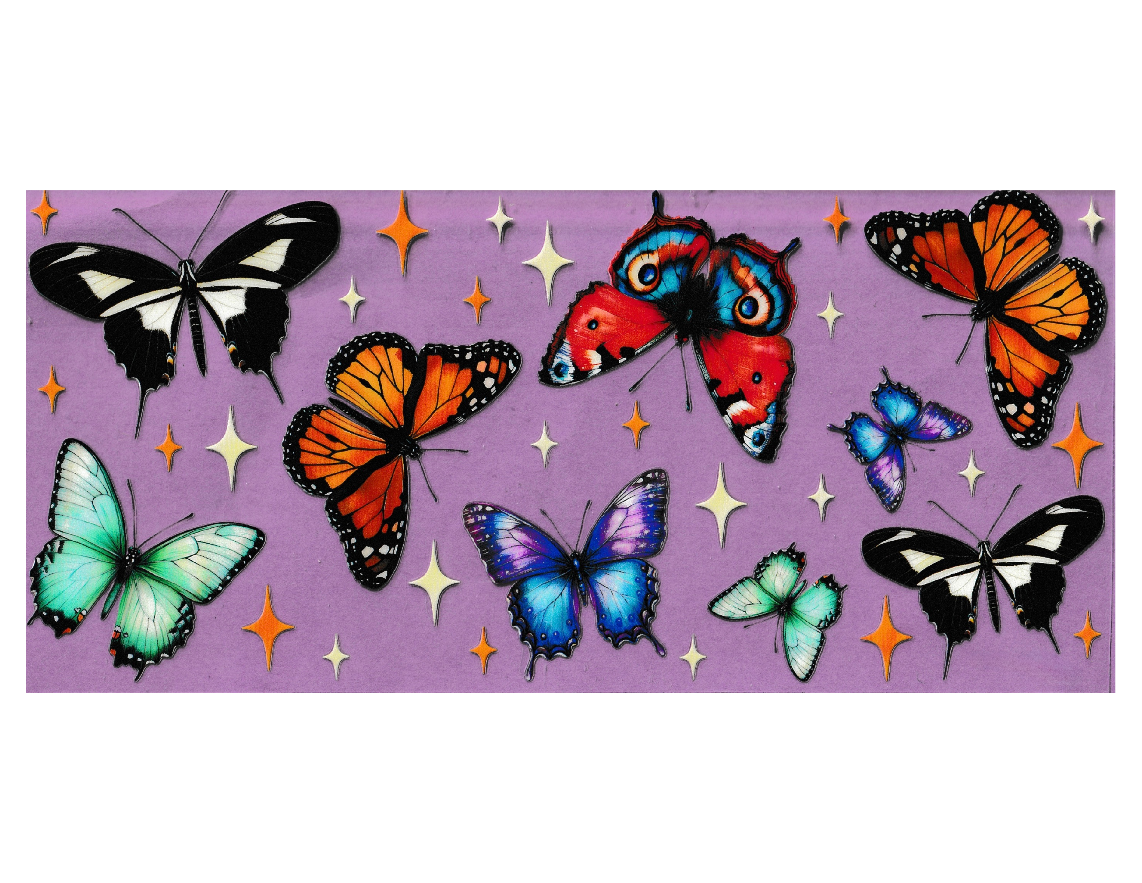 16oz Cup Wrap Butterfly