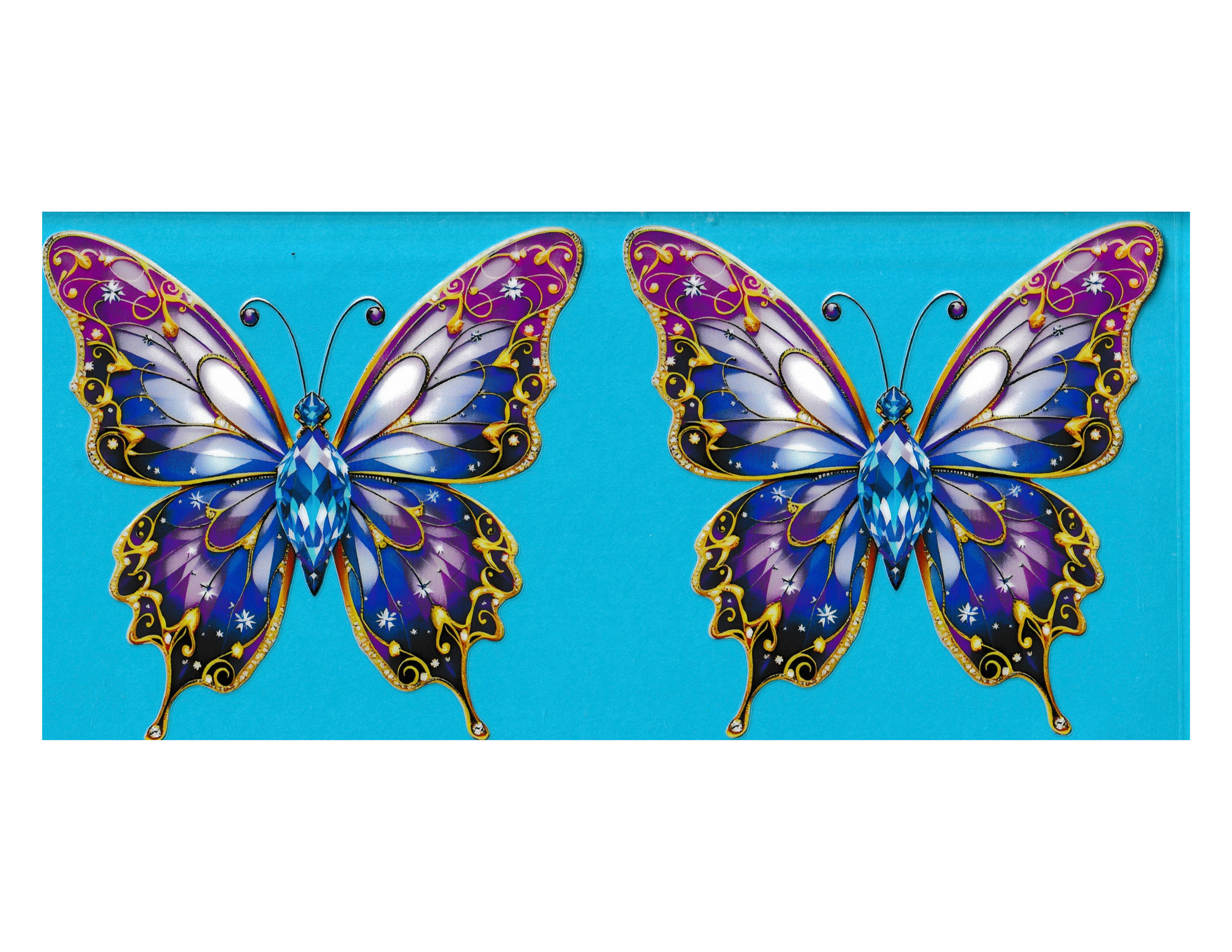 16oz Cup Wrap Butterfly