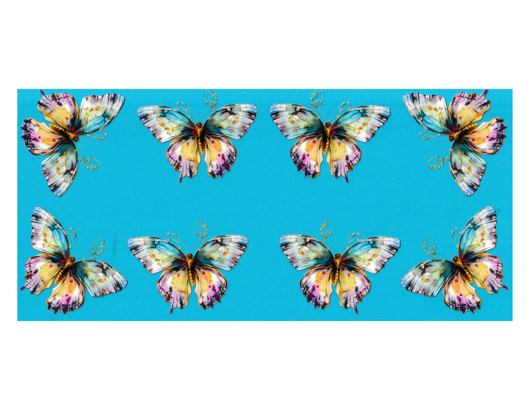 16oz Cup Wrap Butterfly