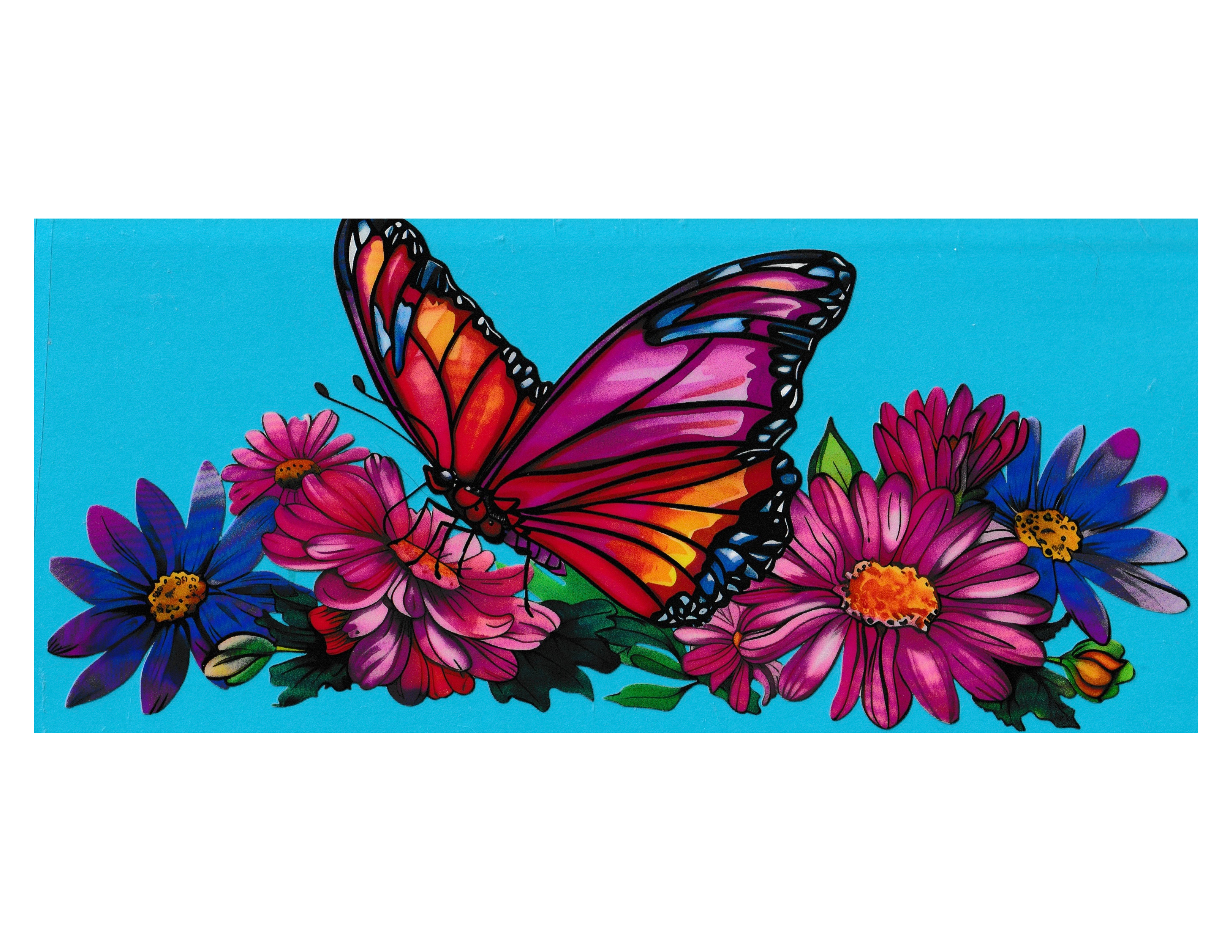 16oz Cup Wrap Butterfly