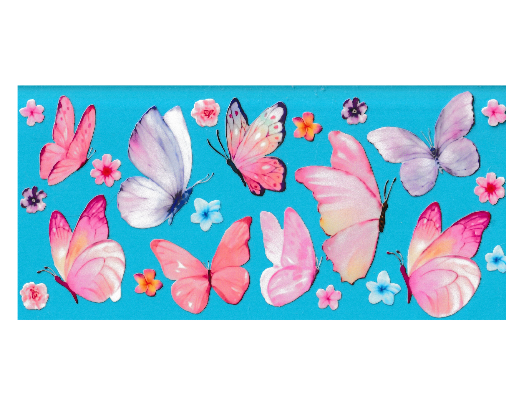 16oz Cup Wrap Butterfly