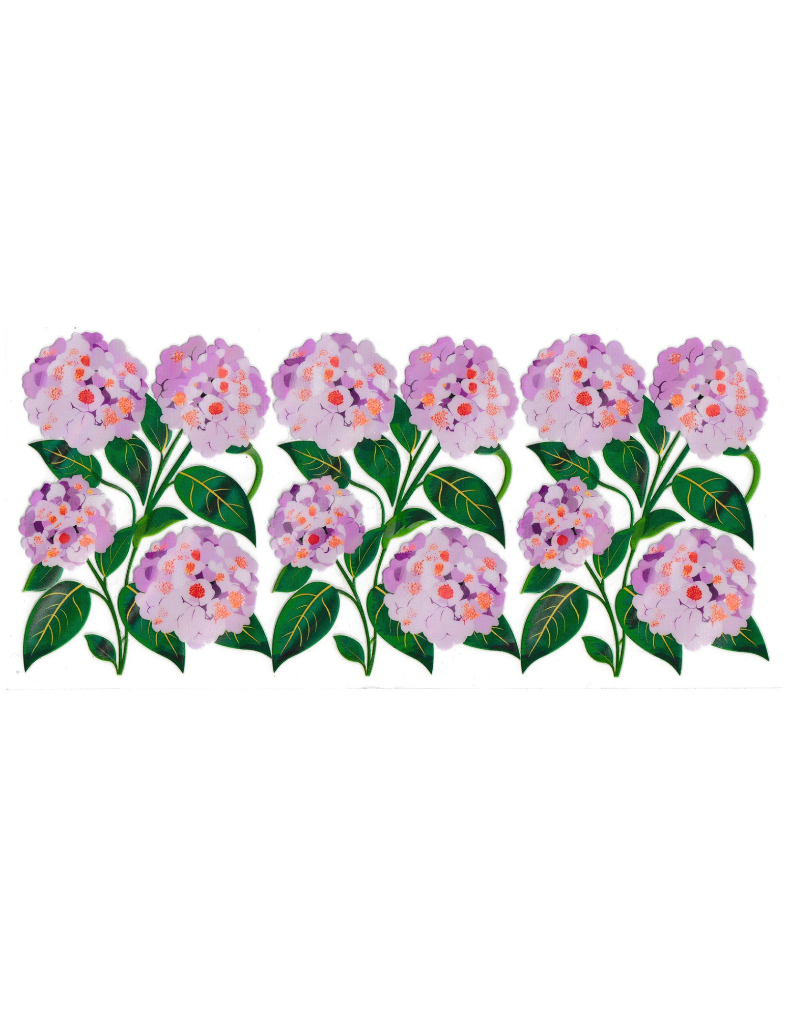 16oz Holographic Flowers/Butterfly