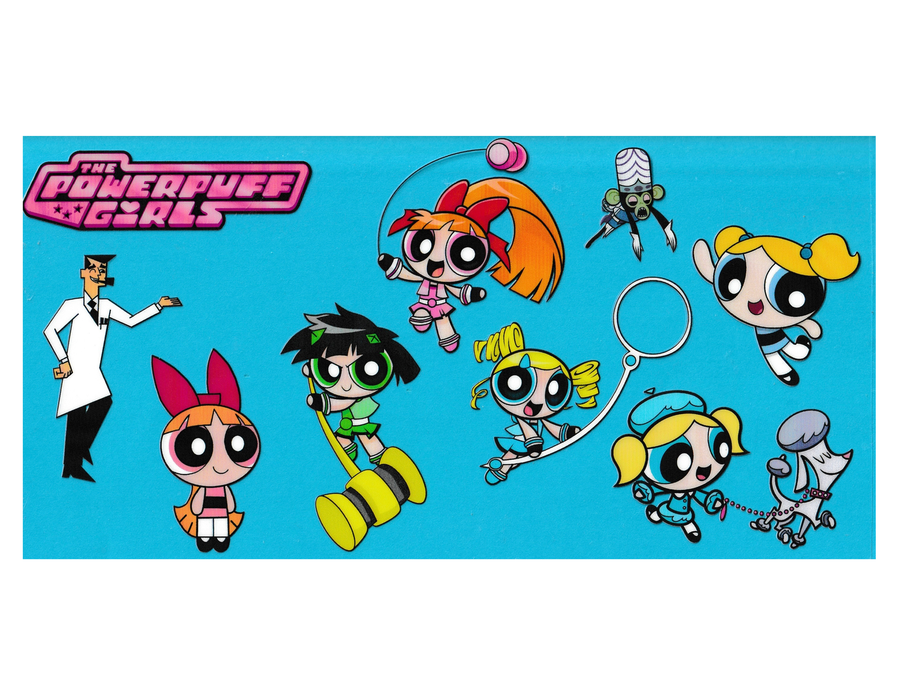 16oz Cup Wrap Powerpuff Girls