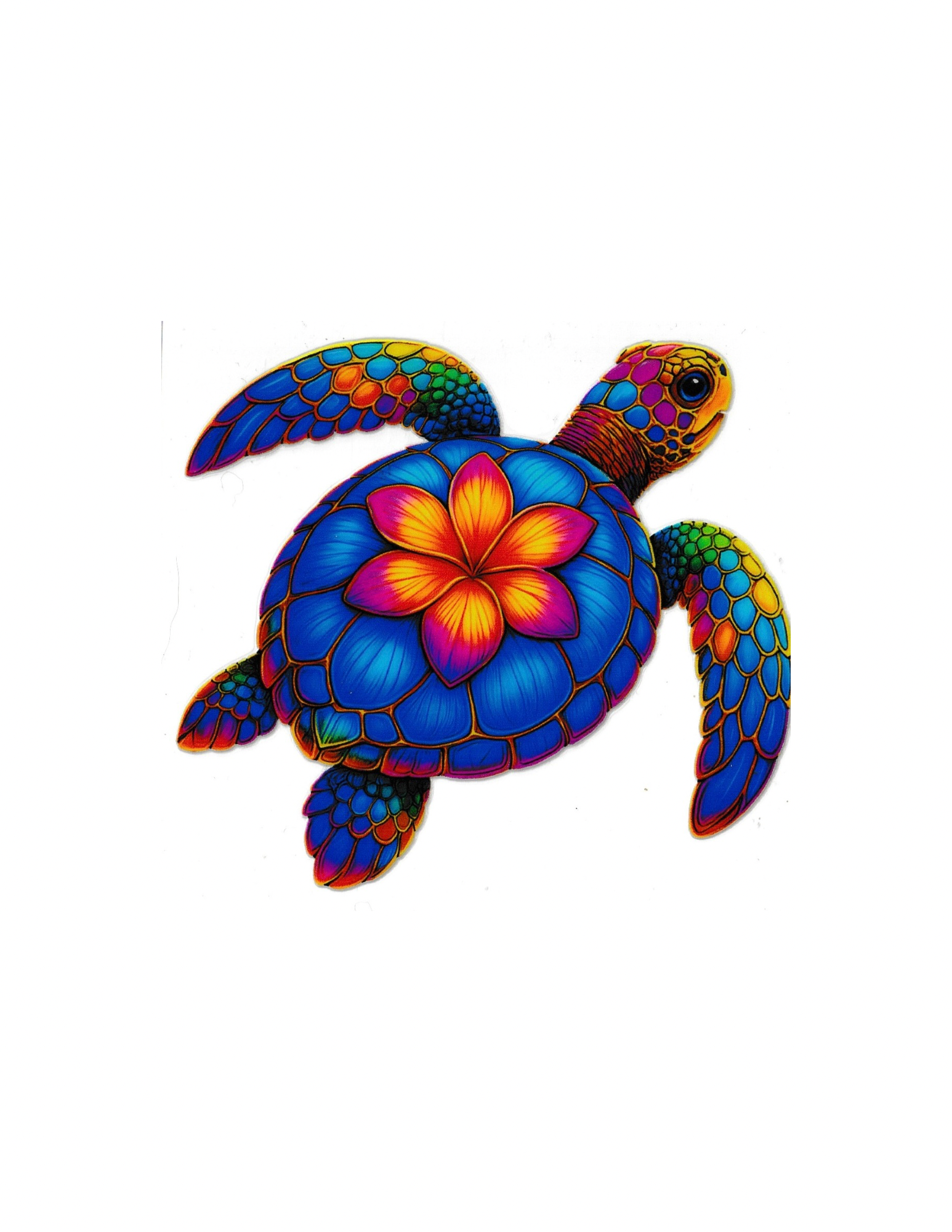 4in Cup Decal Turtle