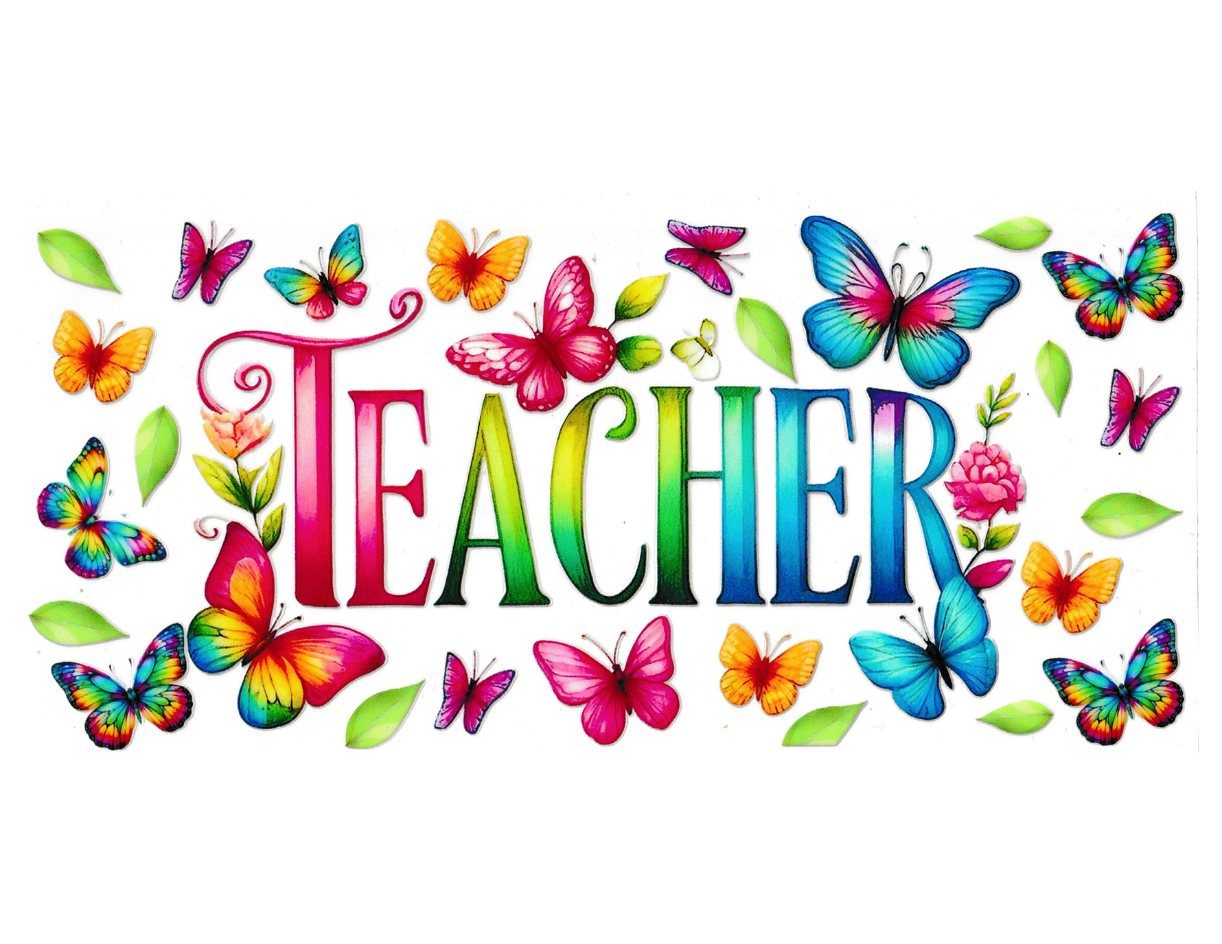 16oz Cup Wrap Teacher
