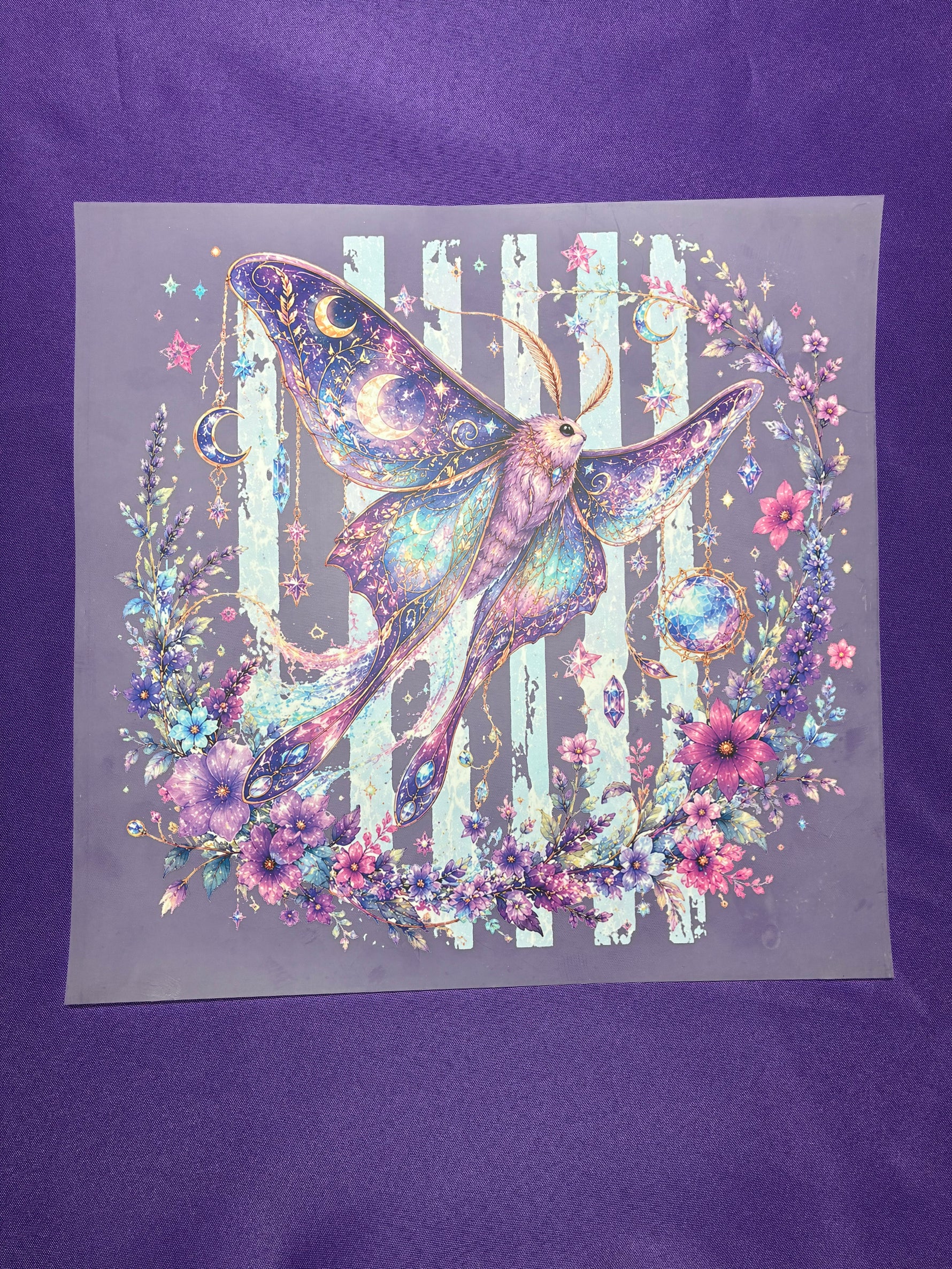 Moth Shirt Transfers
