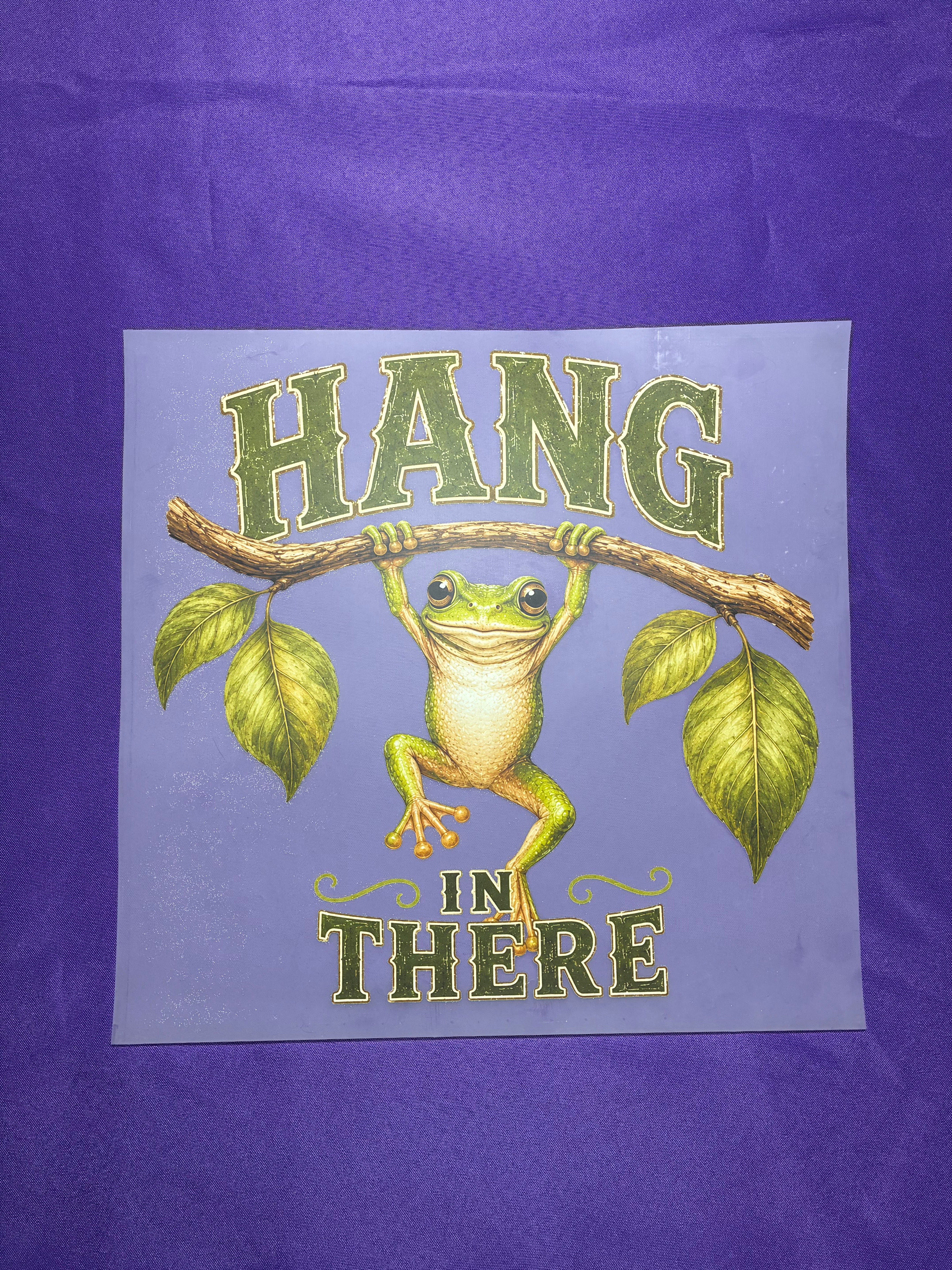 Hang in There Shirt Transfer