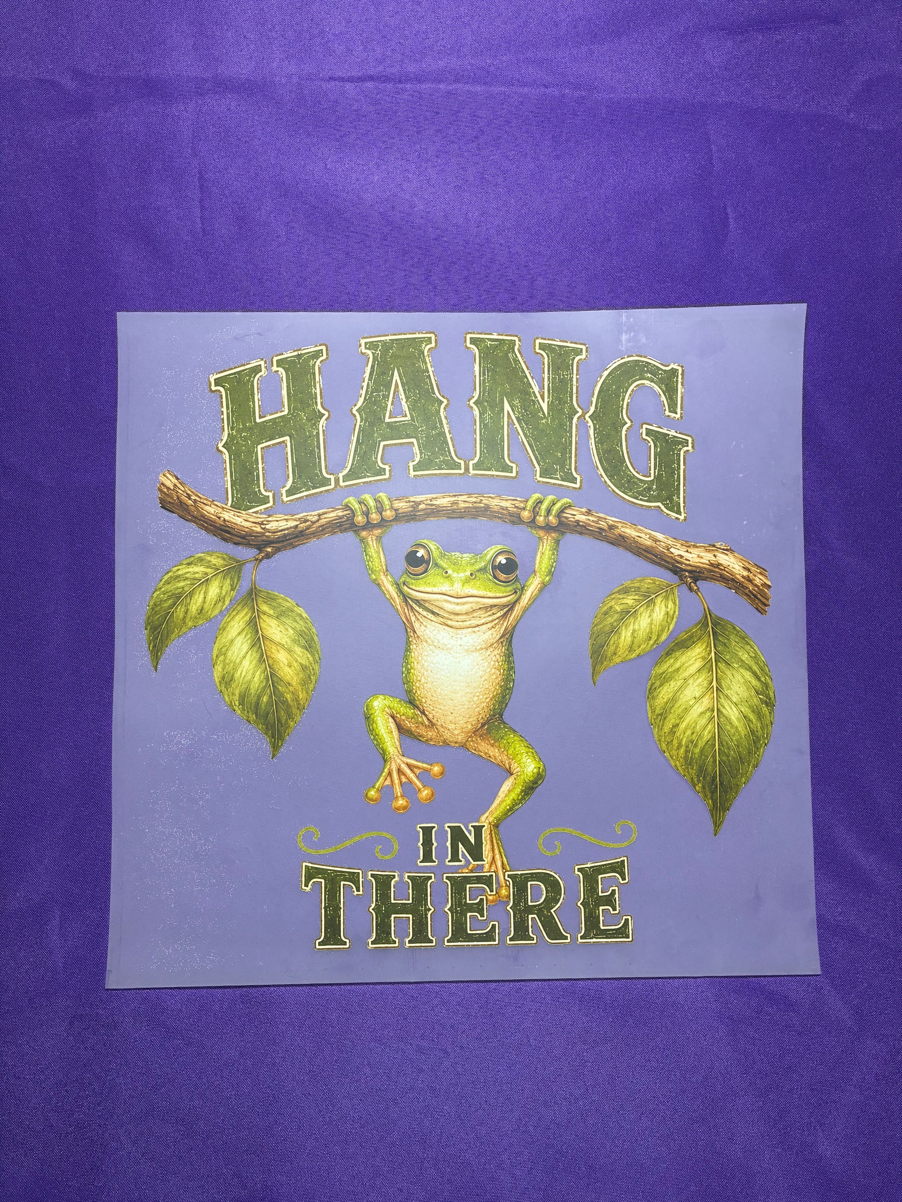 Hang in There Shirt Transfer