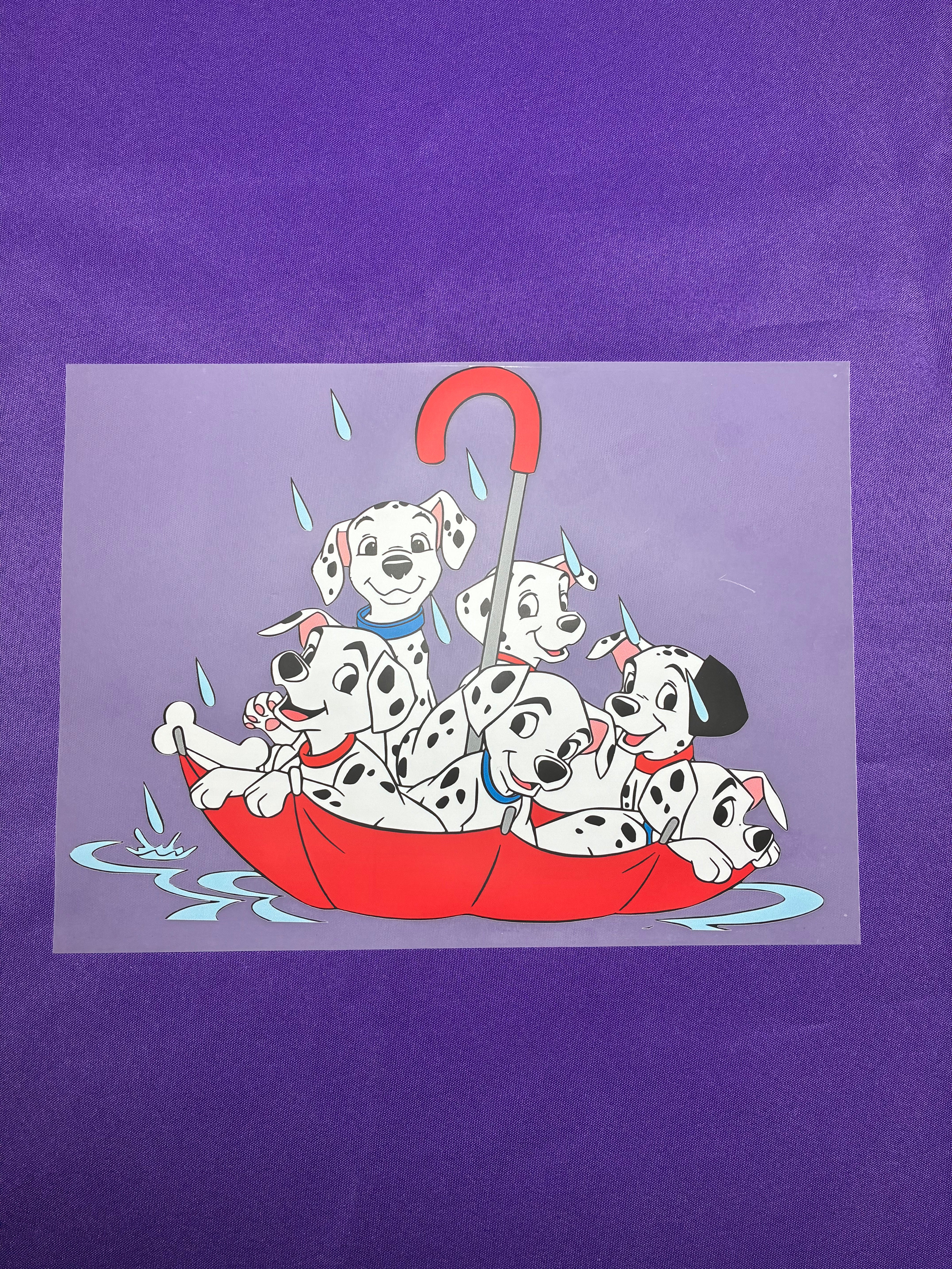 Dalmatian Shirt Transfer