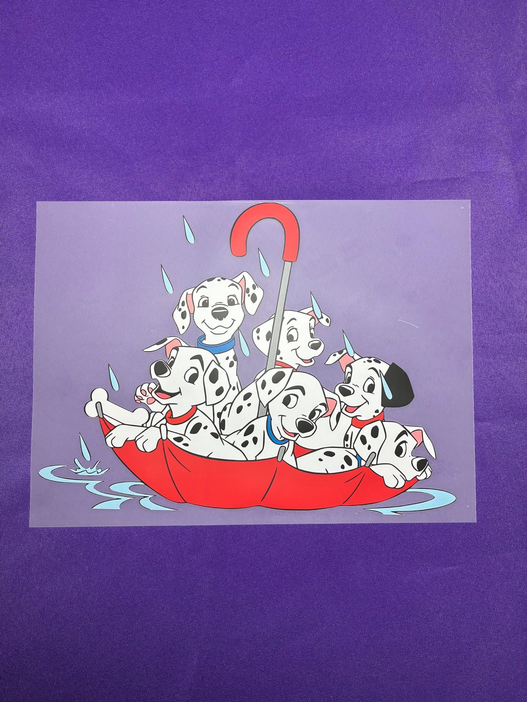 Dalmatian Shirt Transfer