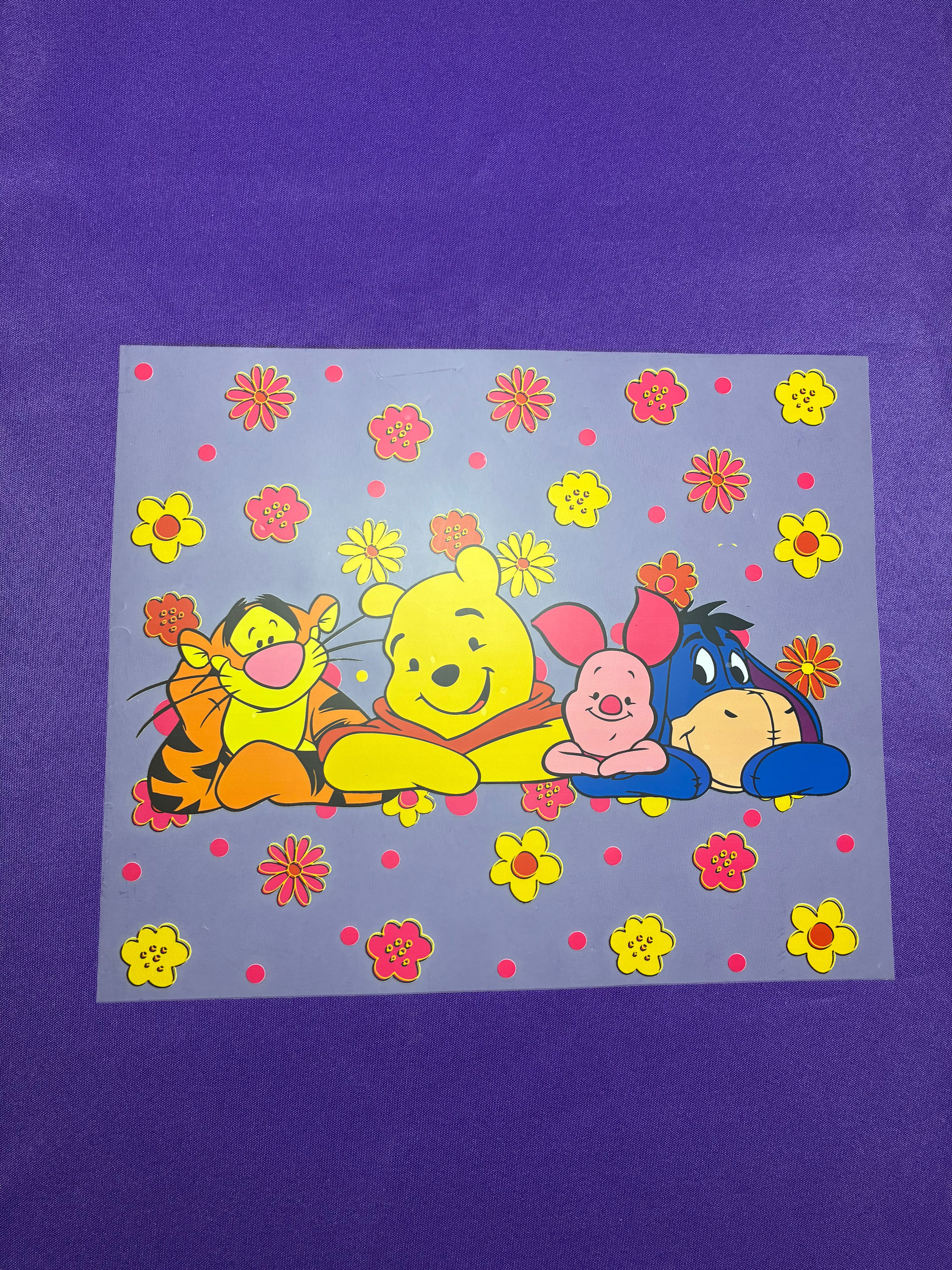 Pooh Characters Shirt Transfer