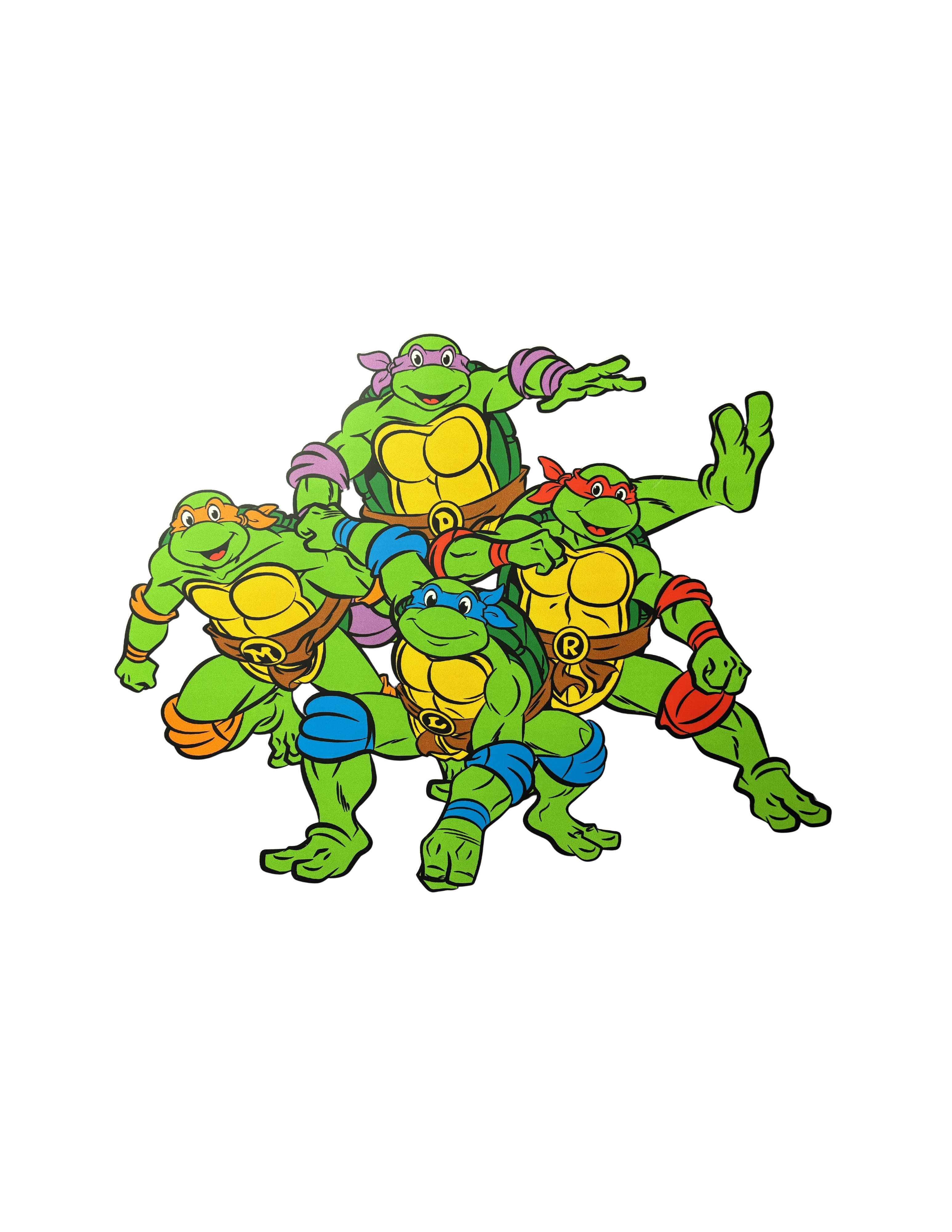 Turtle DTF Transfers