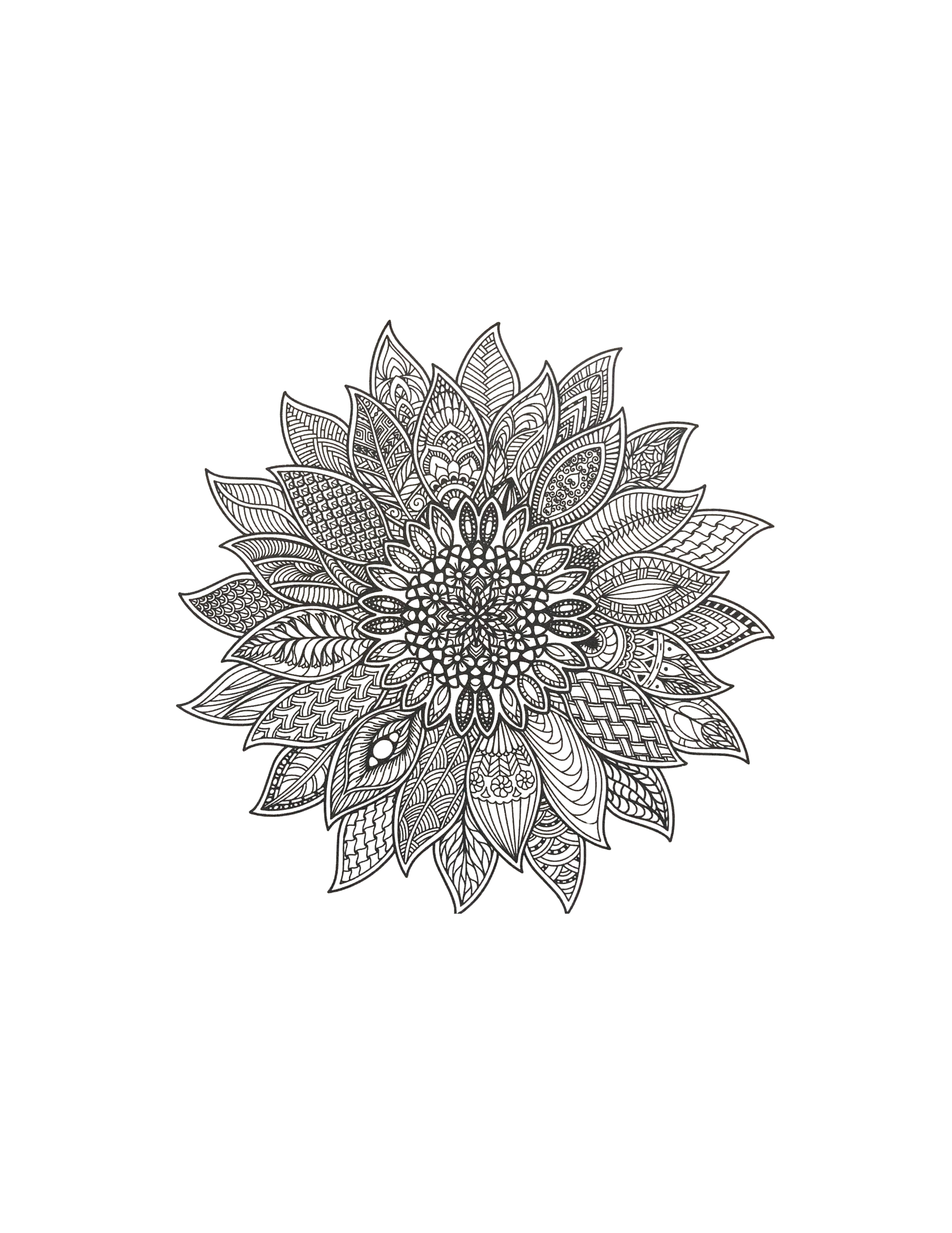 Flower Screen Print