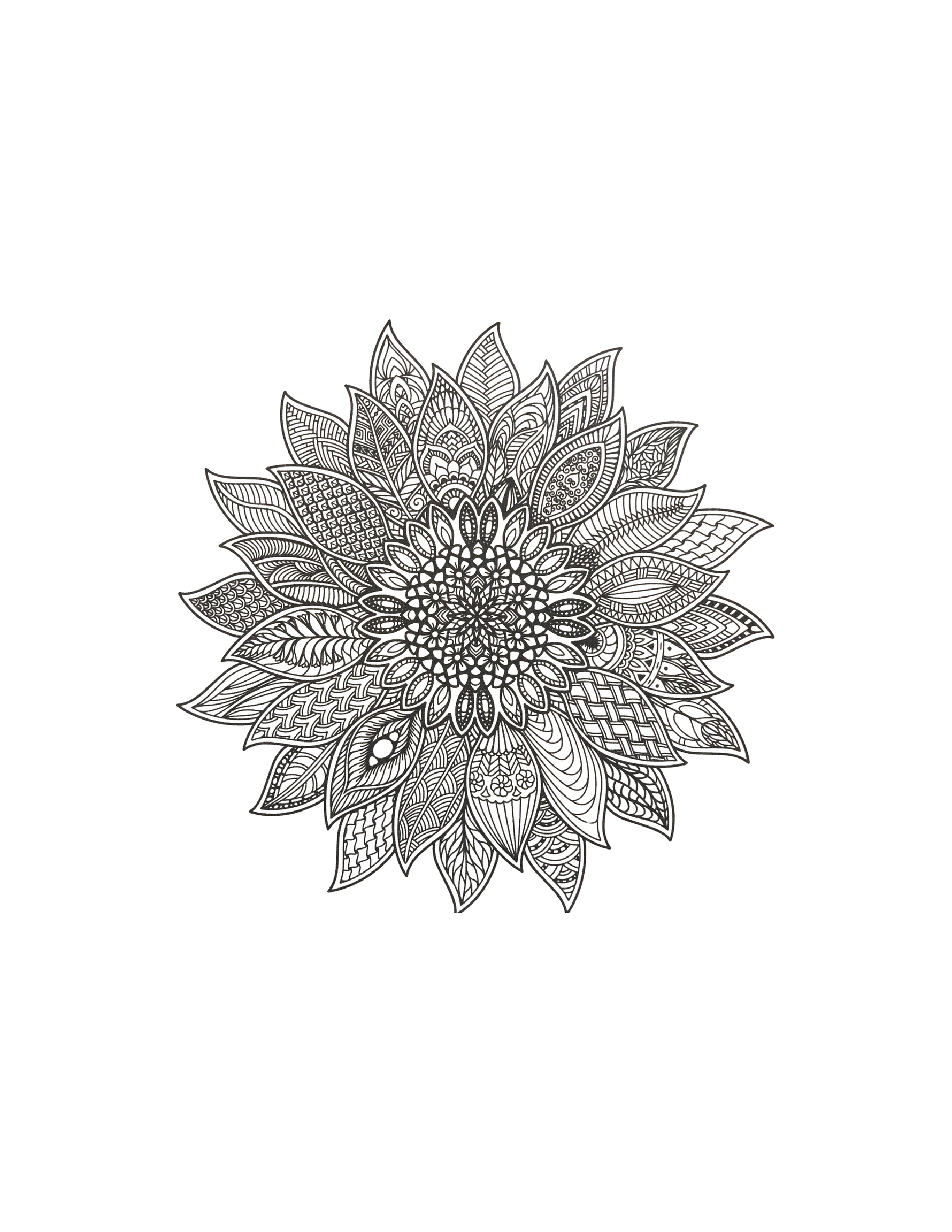 Flower Screen Print