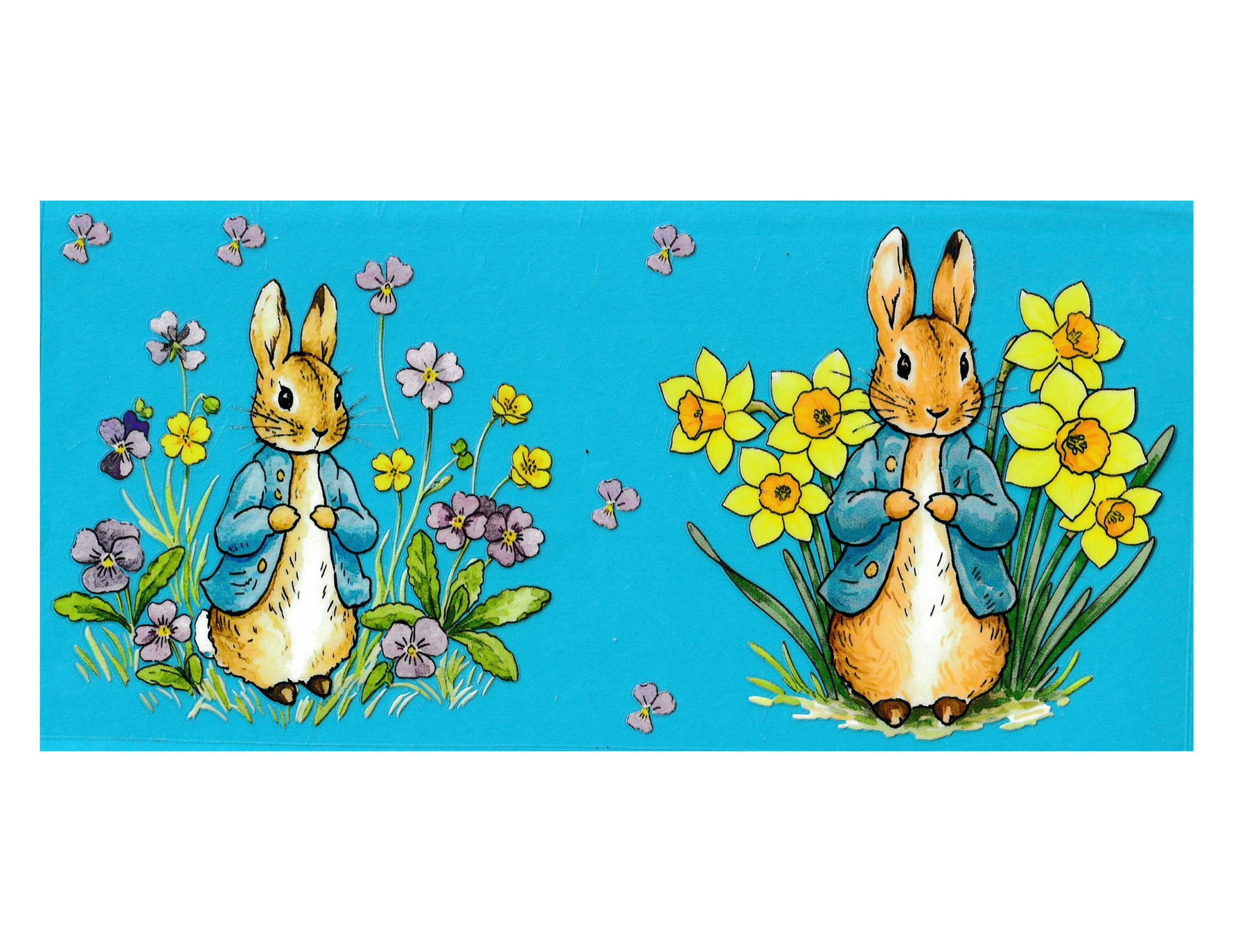 16oz Cup Peter Rabbit