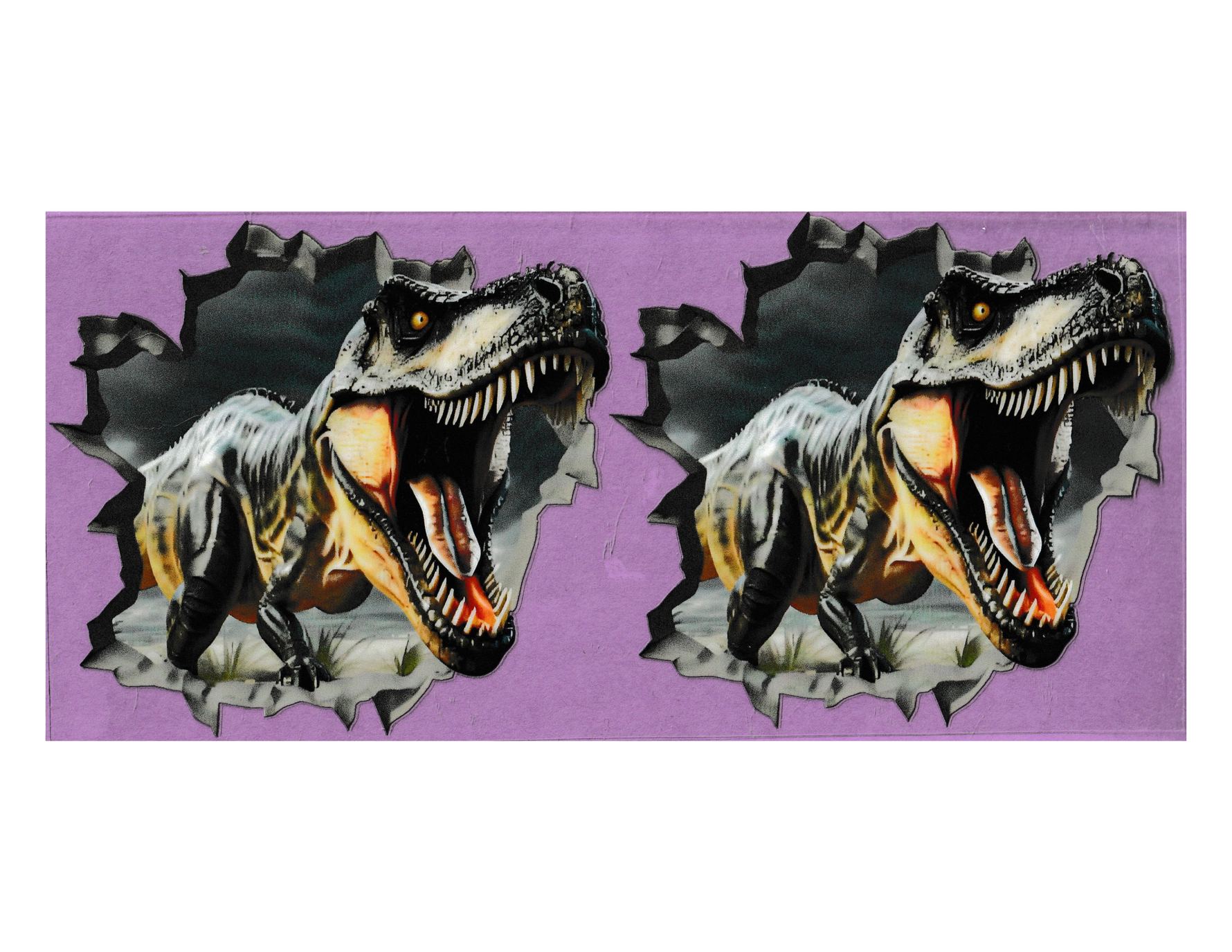 16oz Cup Wrap T-Rex