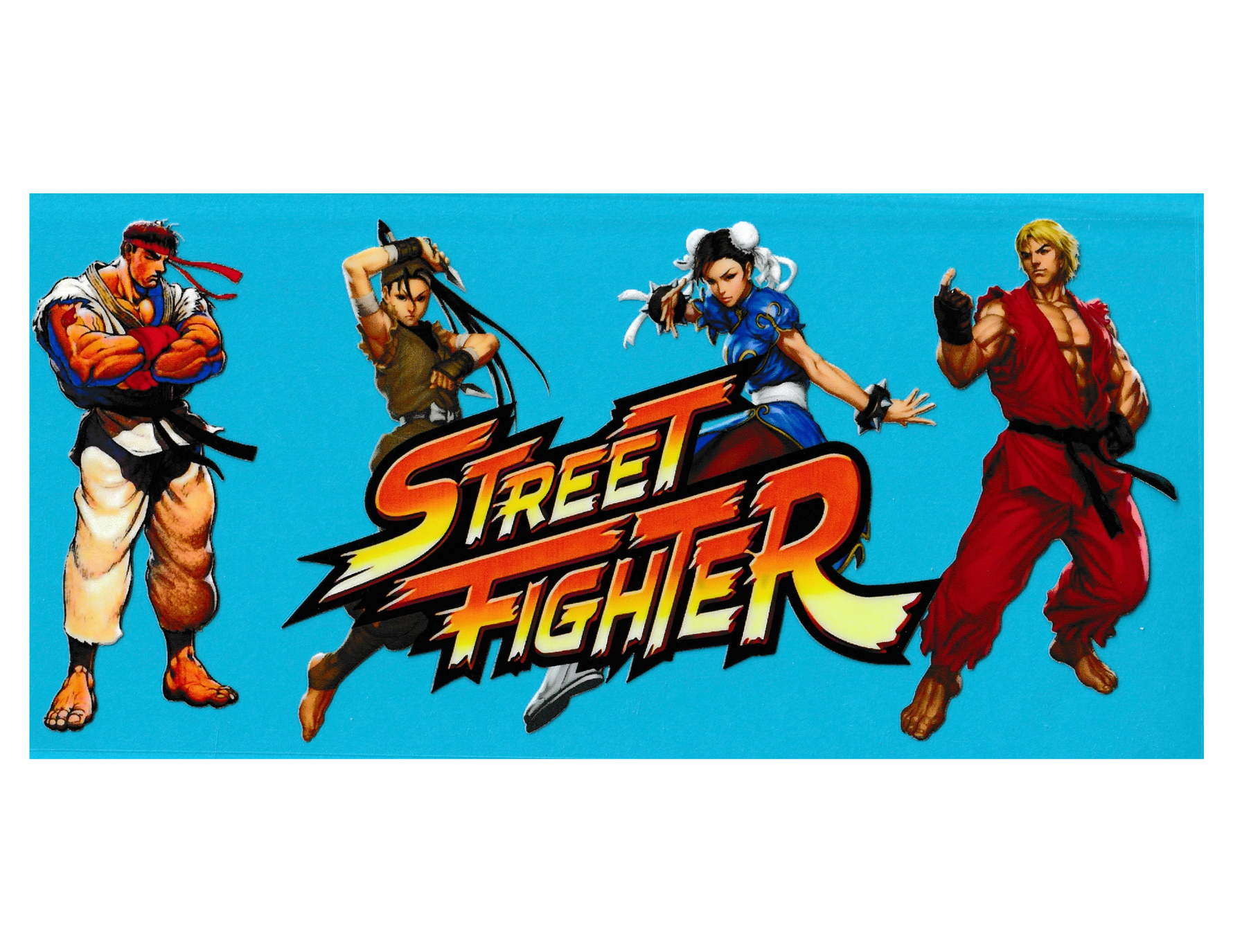 16oz Cup Wrap Street Fighter