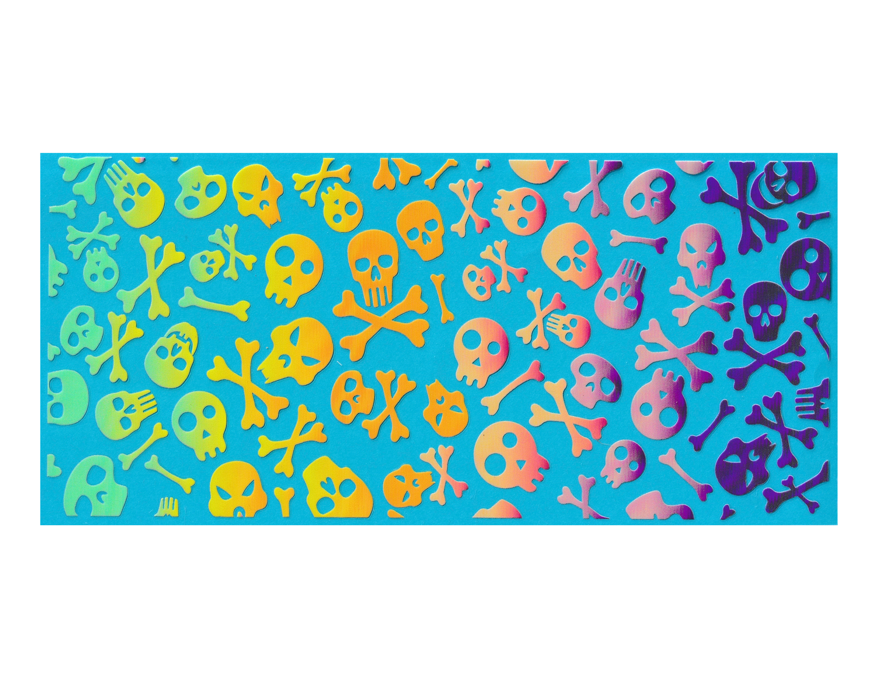 16oz Cup Wrap Skull Colorful