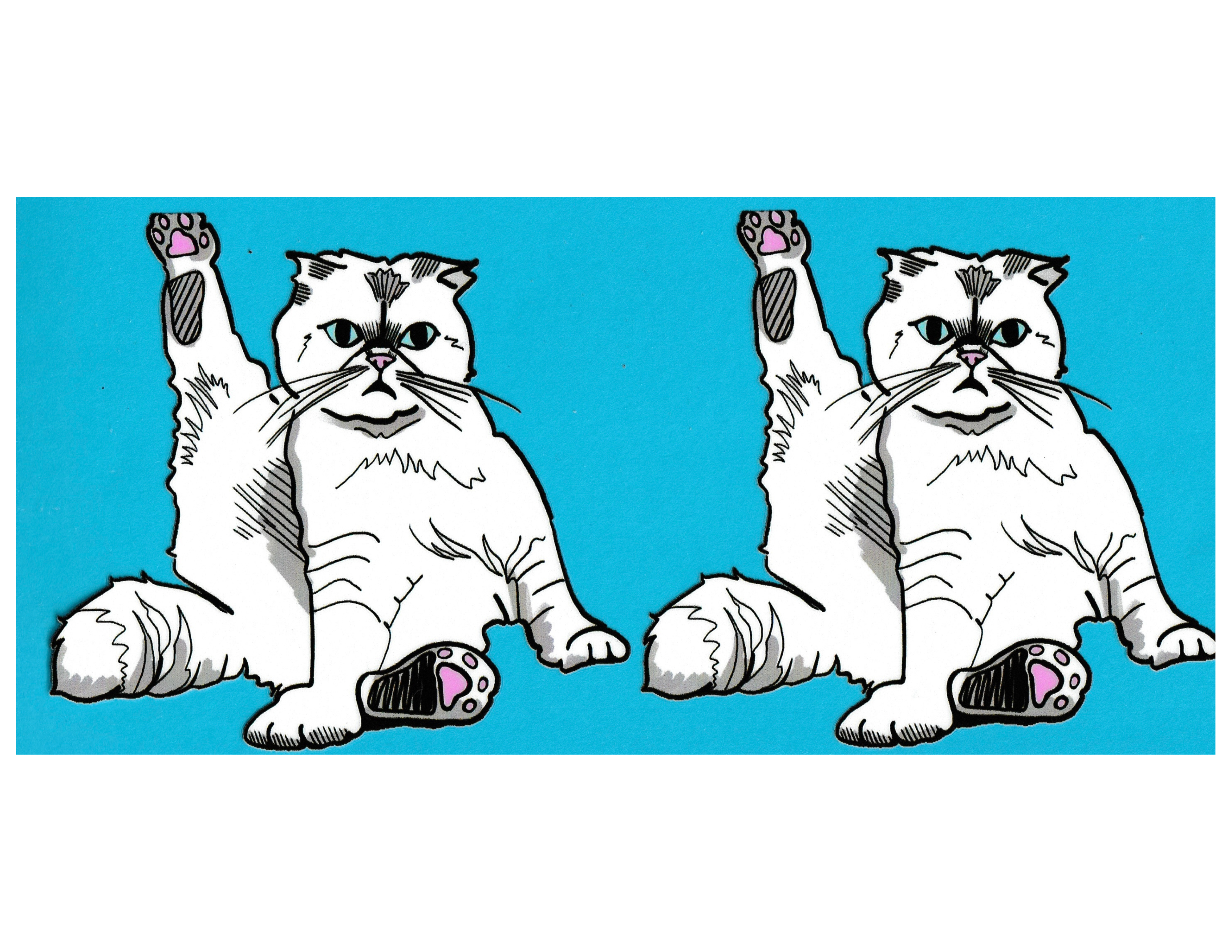 16oz Cup Wrap Cat