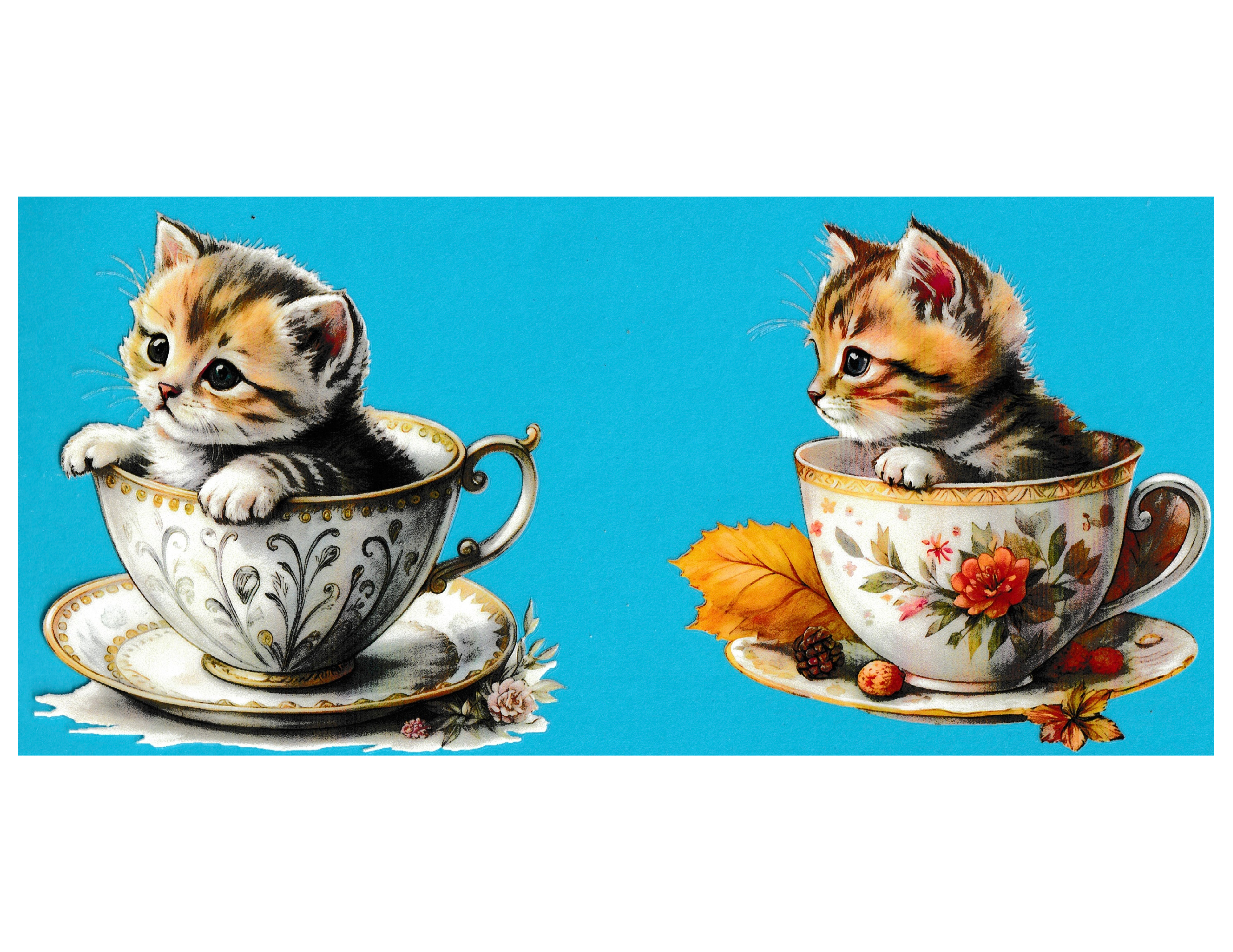 16oz Cup Wrap Cat