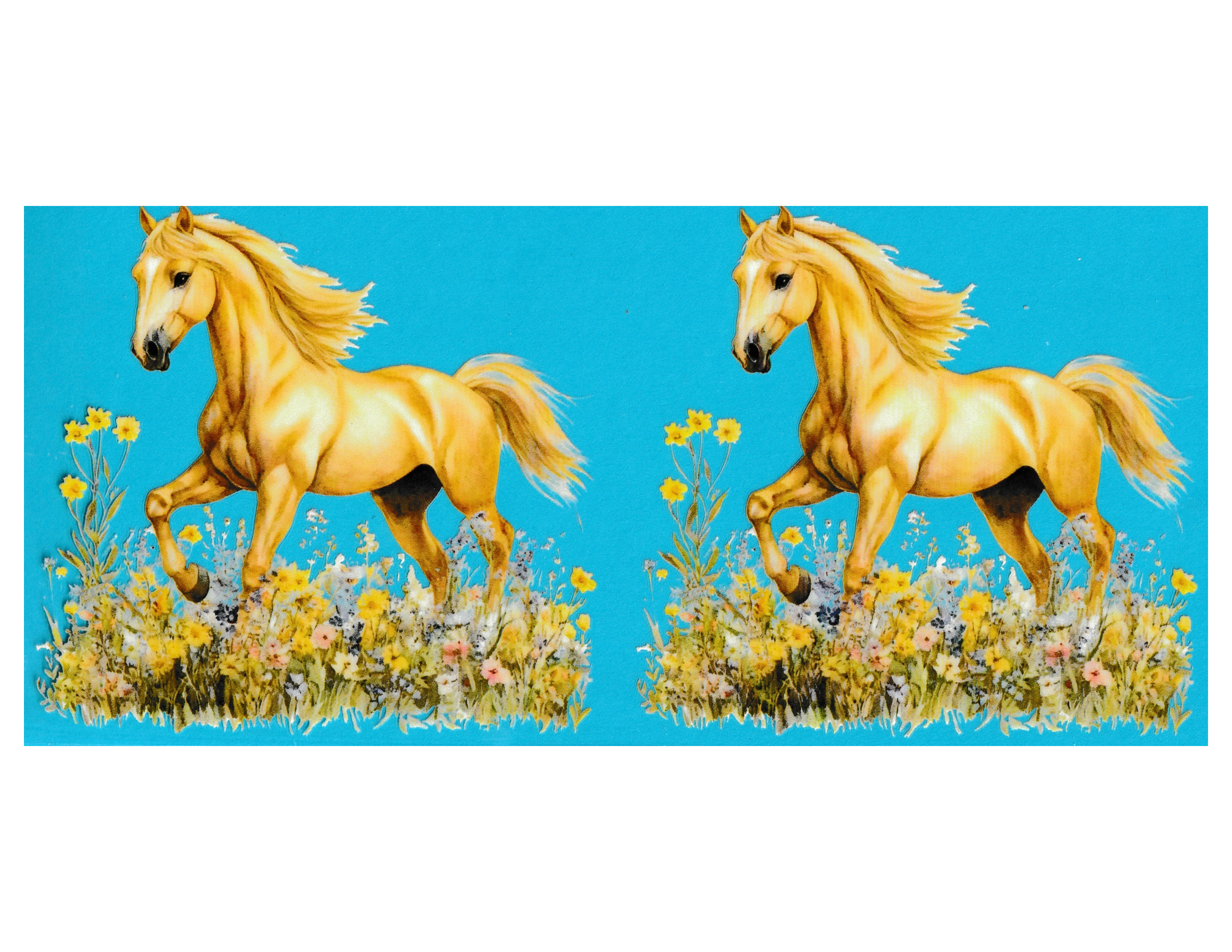 16oz Cup Wrap Horses
