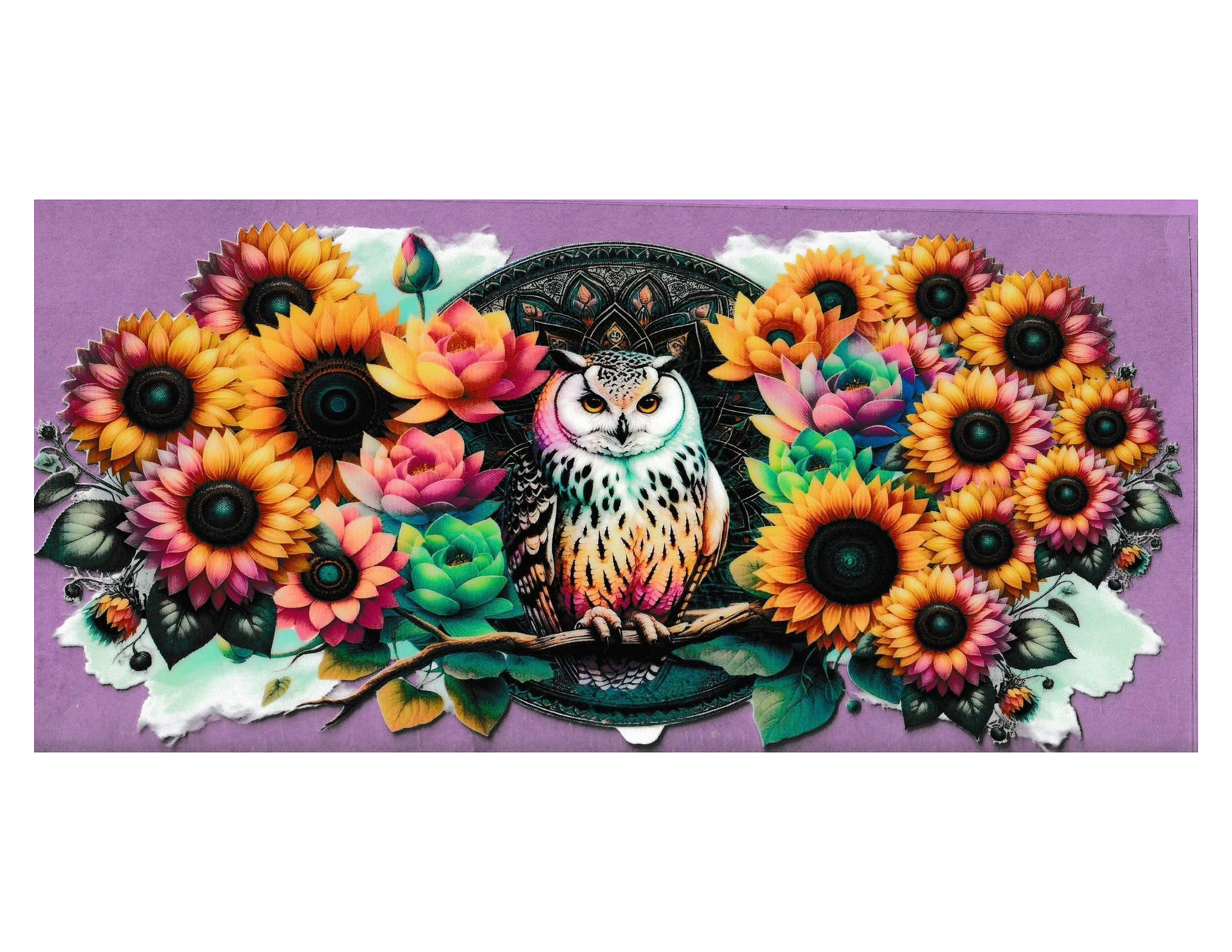 16oz Cup Wrap Owls