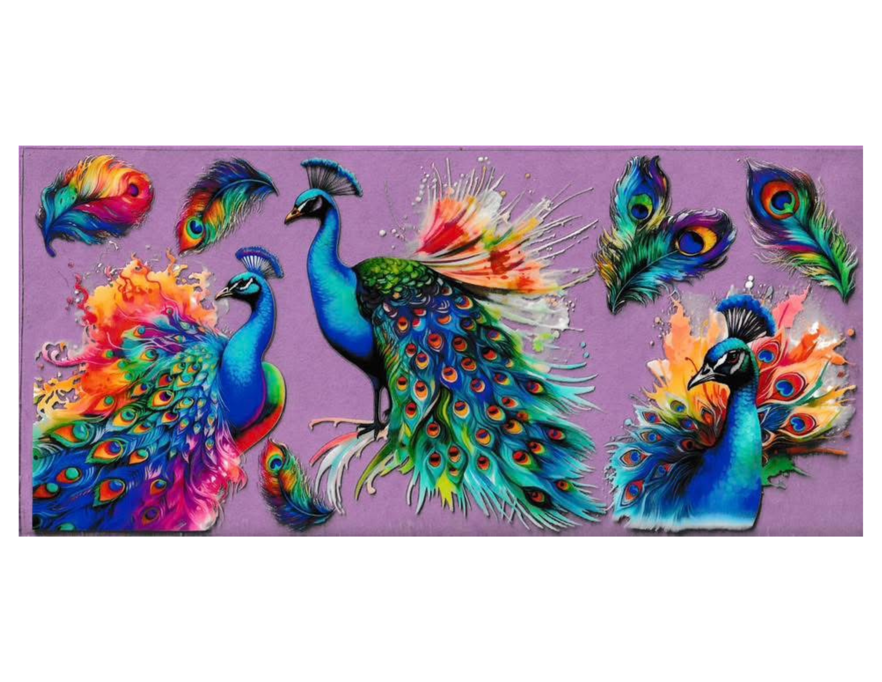 16oz Cup Wrap Peacock