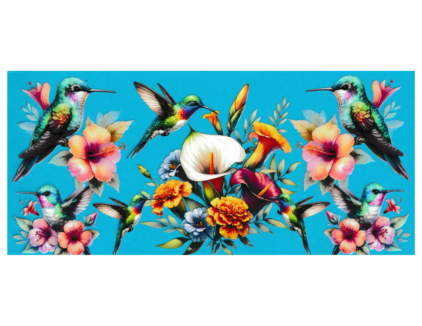 16oz Cup Wrap Hummingbird