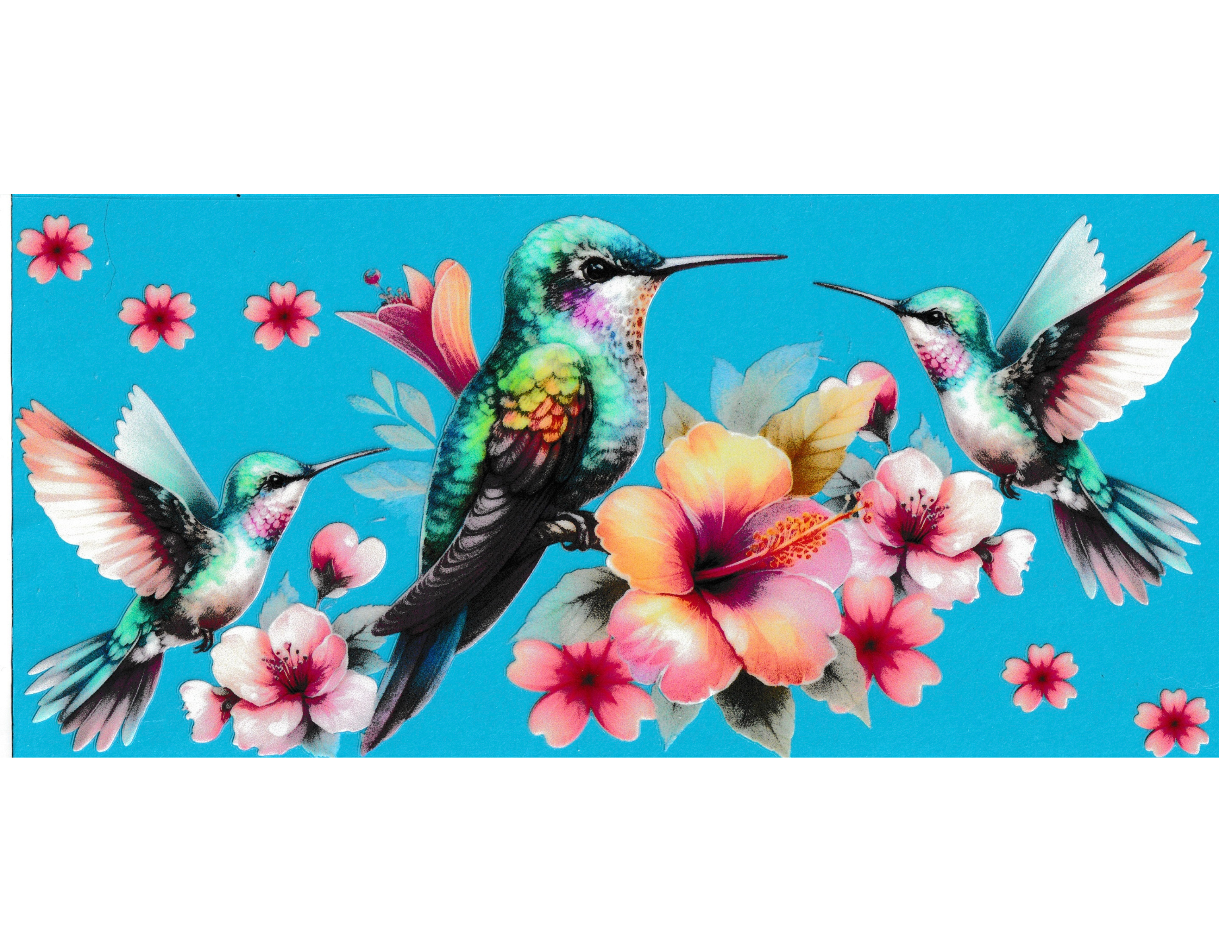 16oz Cup Wrap Hummingbird