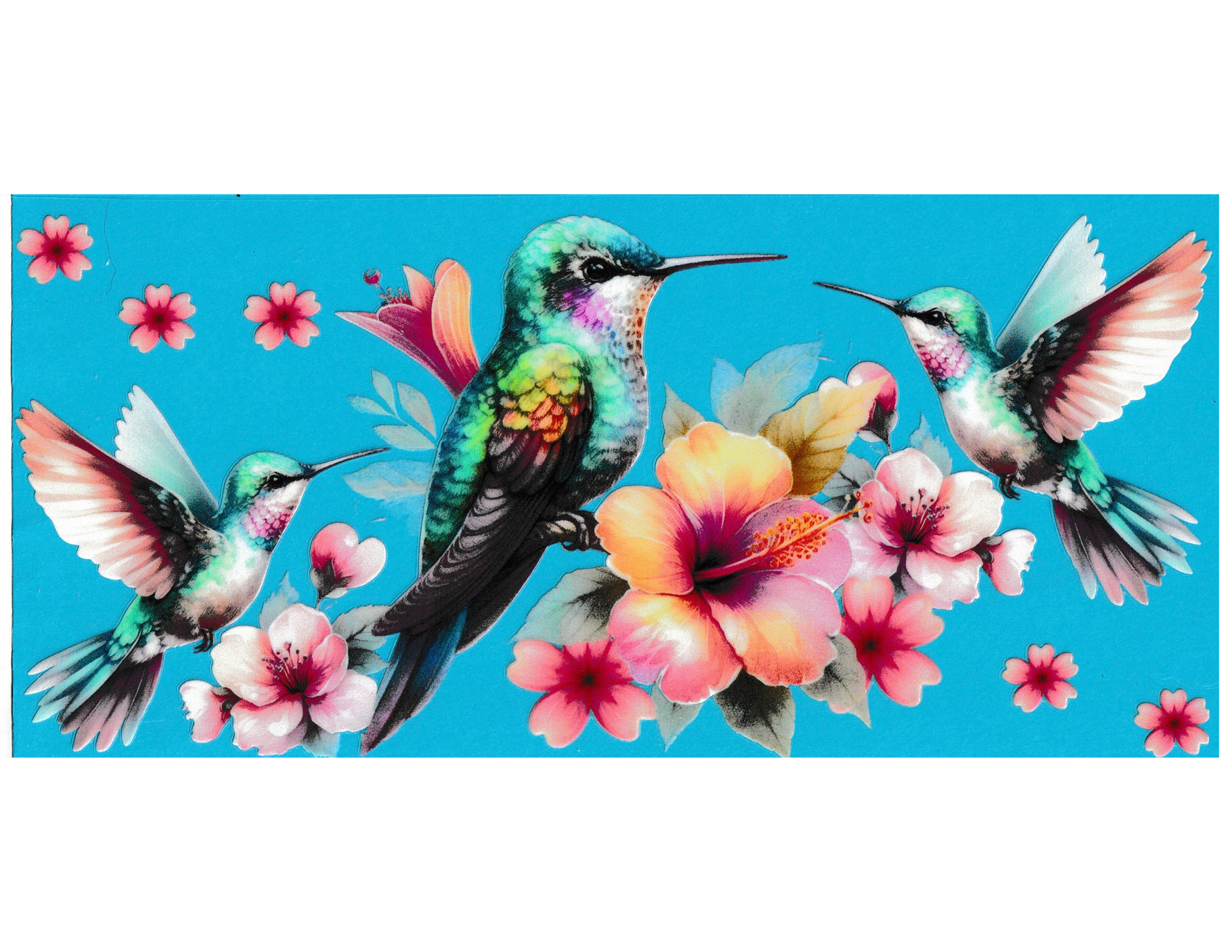 16oz Cup Wrap Hummingbird