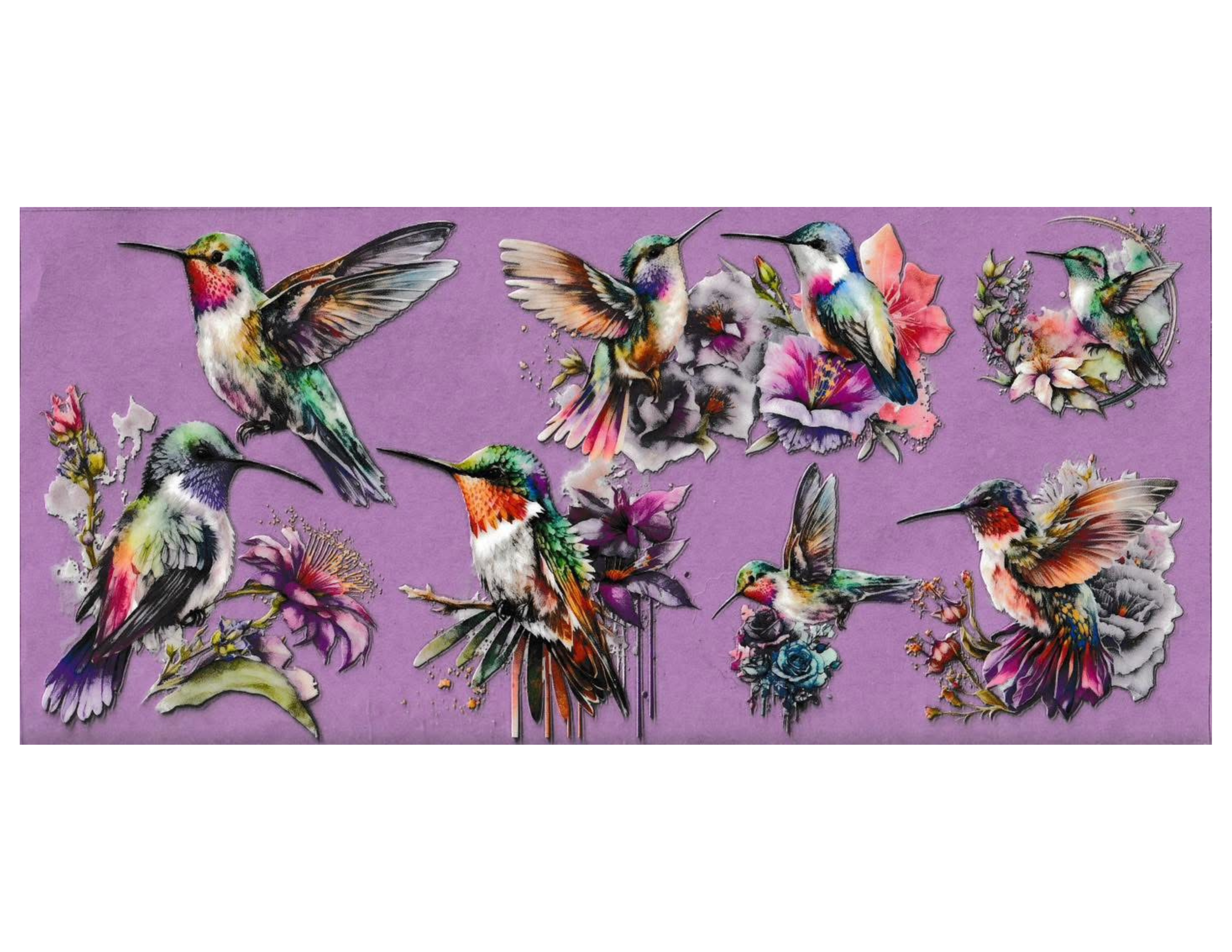 16oz Cup Wrap Hummingbird