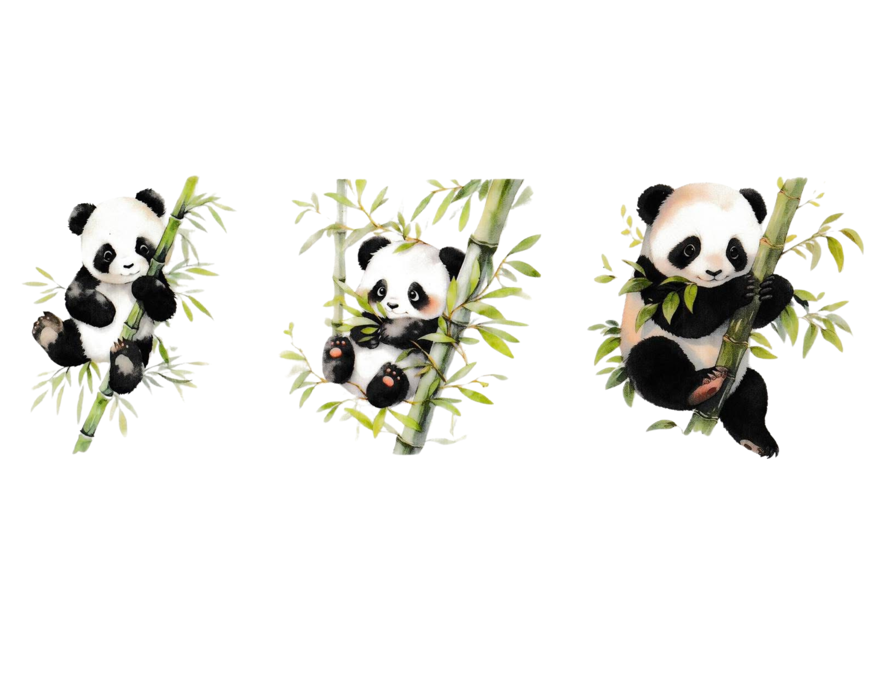 16oz Cup Wrap Panda Bears