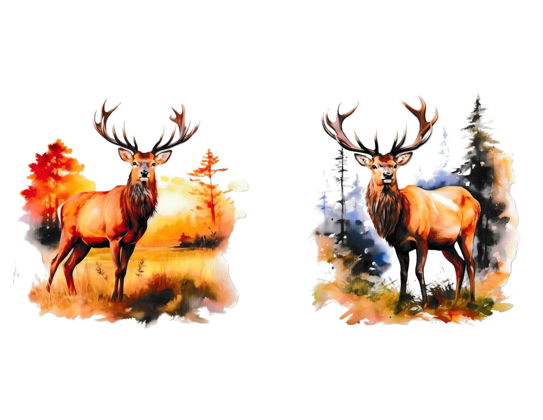 16oz Cup Wrap Deer/Elk
