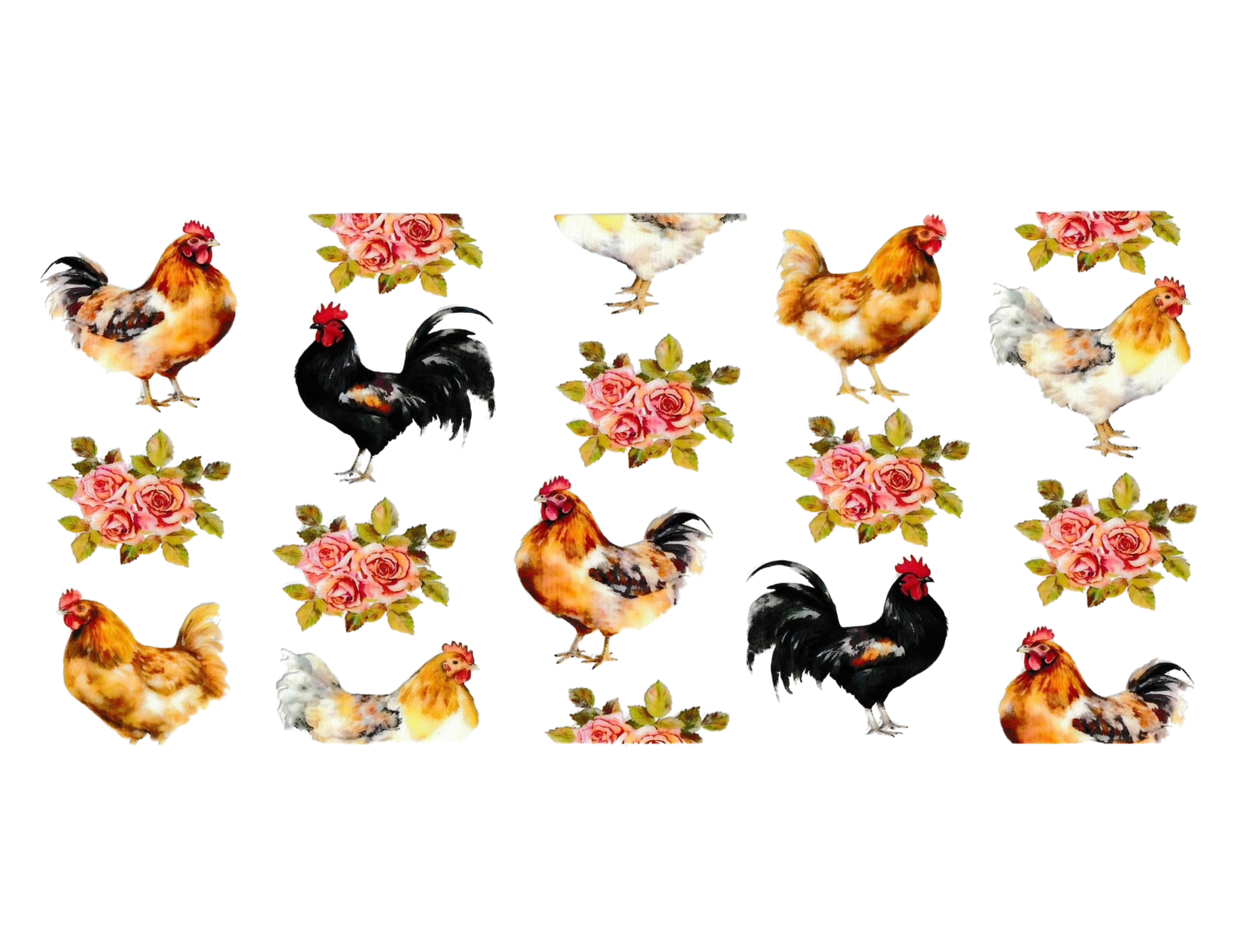 16oz Cup Wrap Chickens