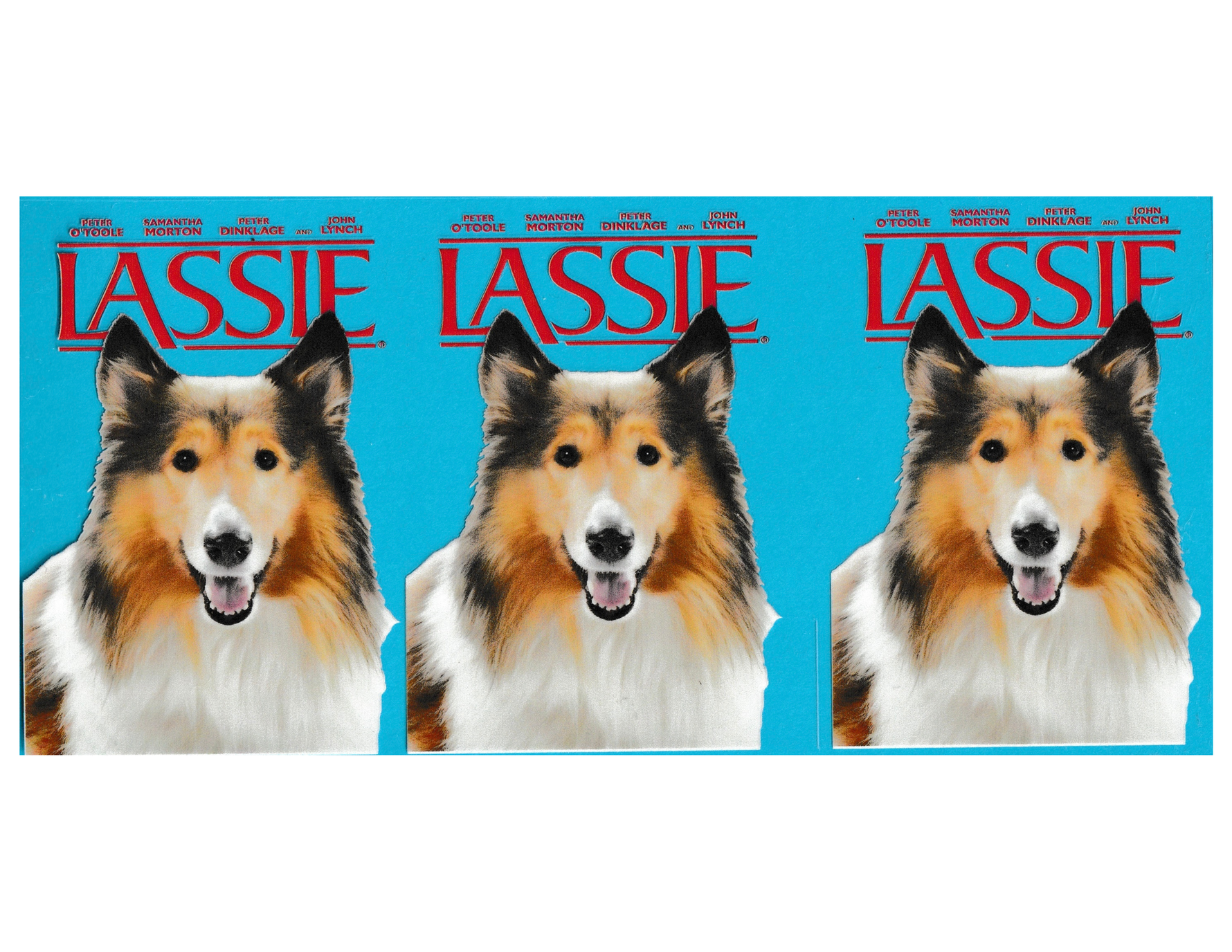 16oz Cup Wrap Lassie