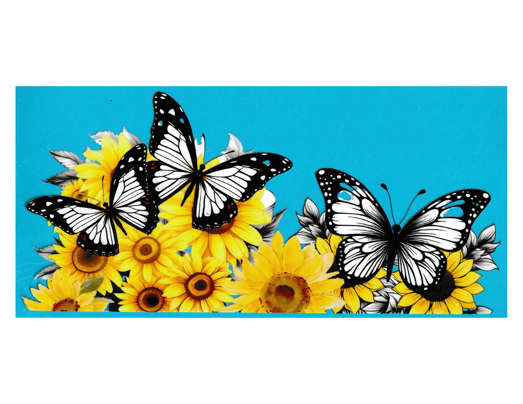 16oz Cup Wrap Butterfly