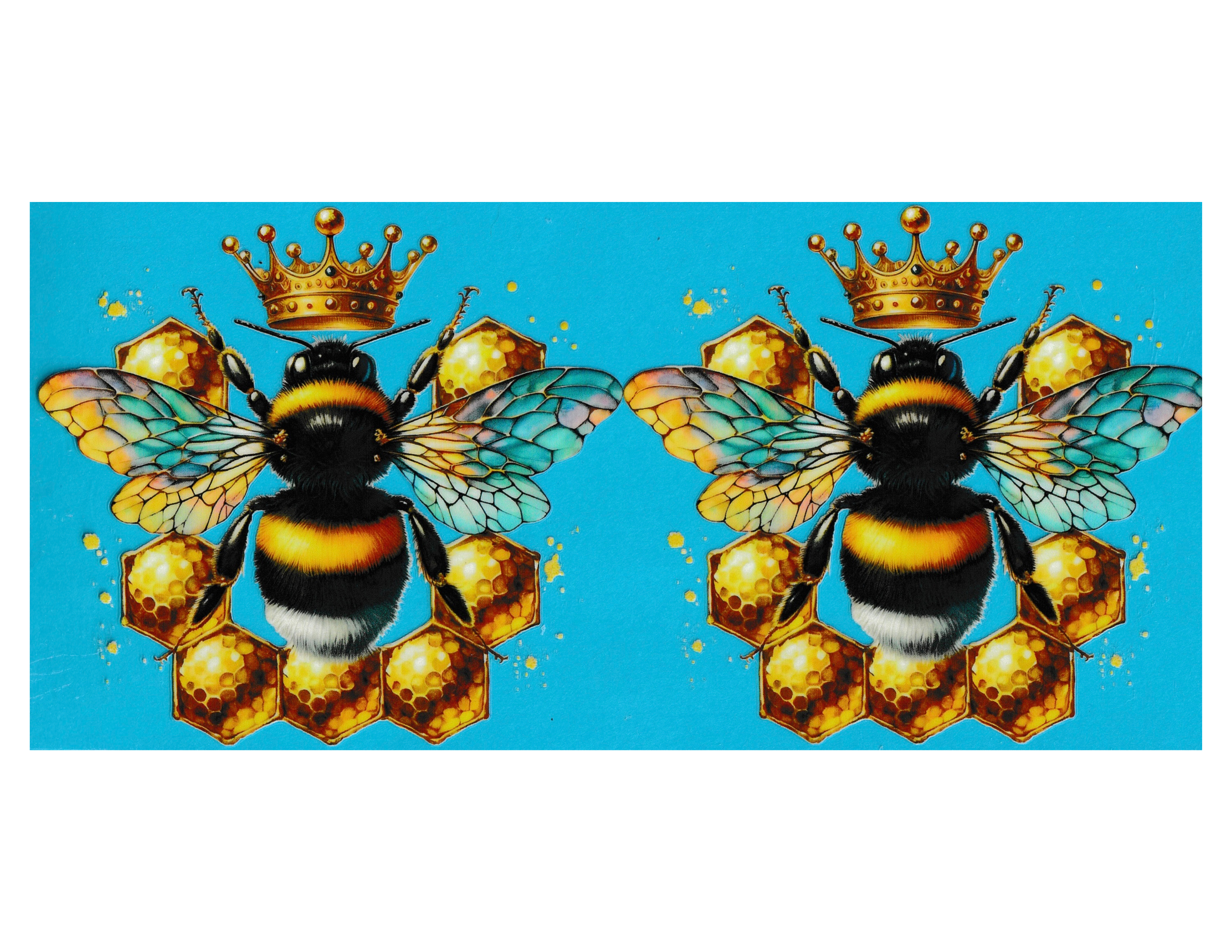16oz Cup Wrap Bees