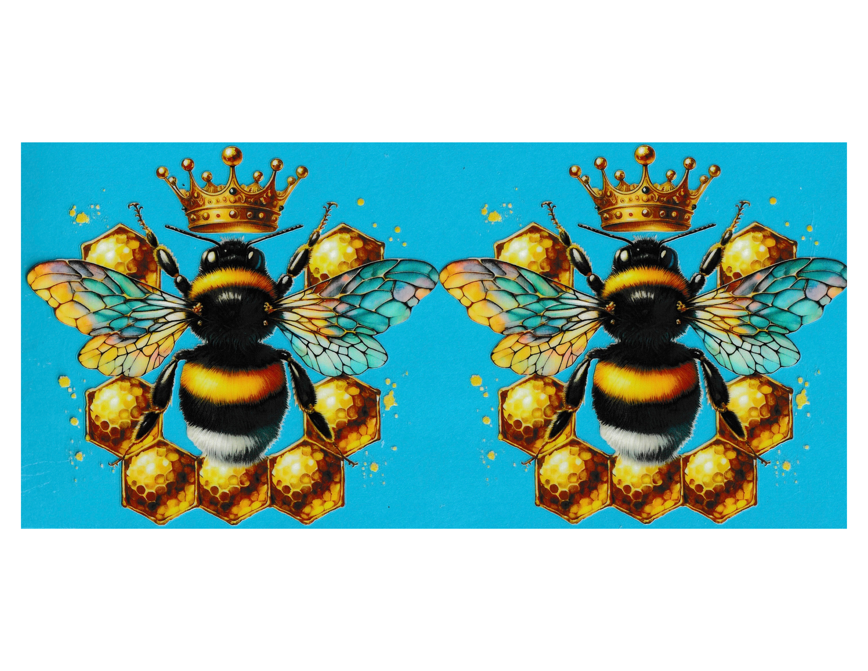 16oz Cup Wrap Bees